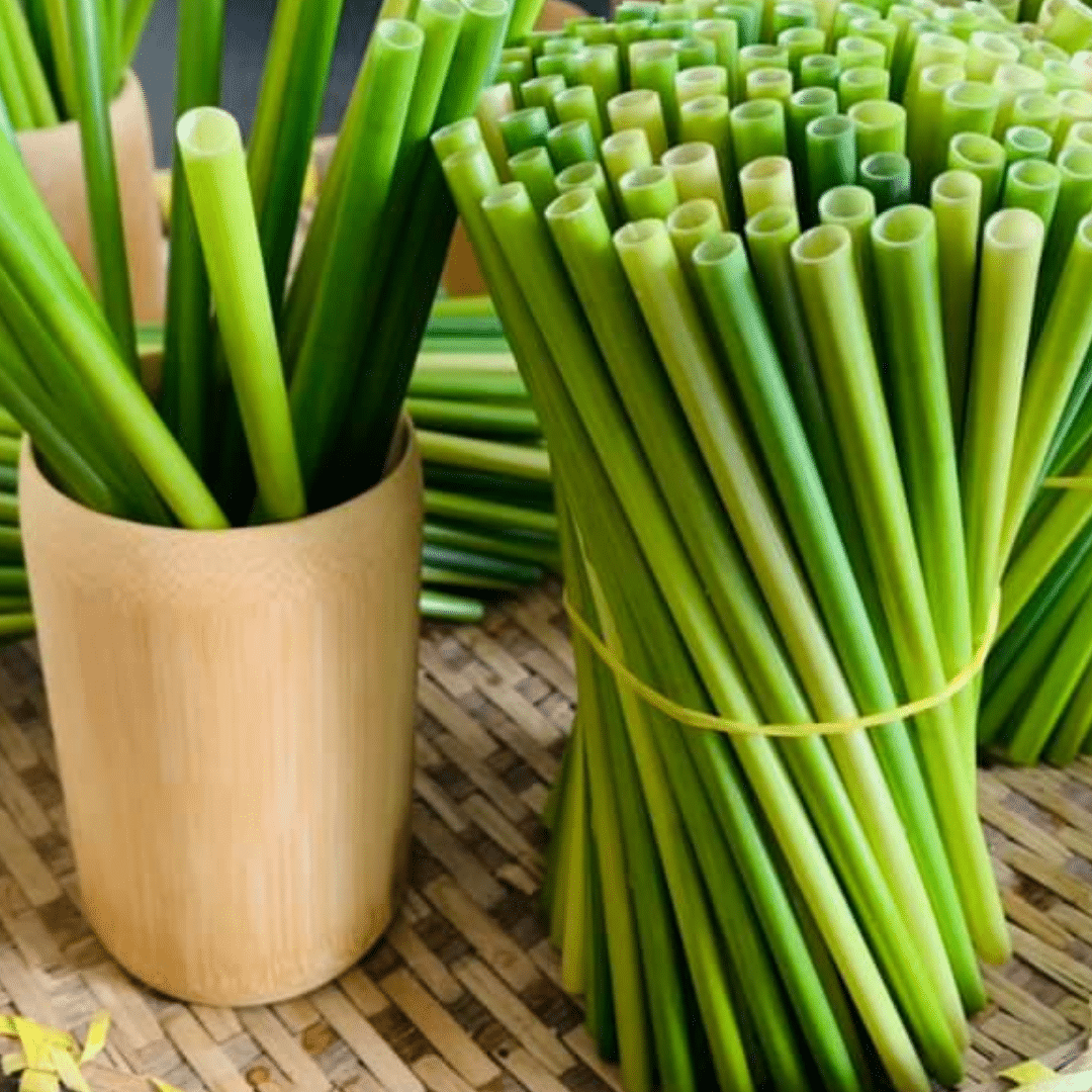 Quy trình xử lý sợi cỏ bàng